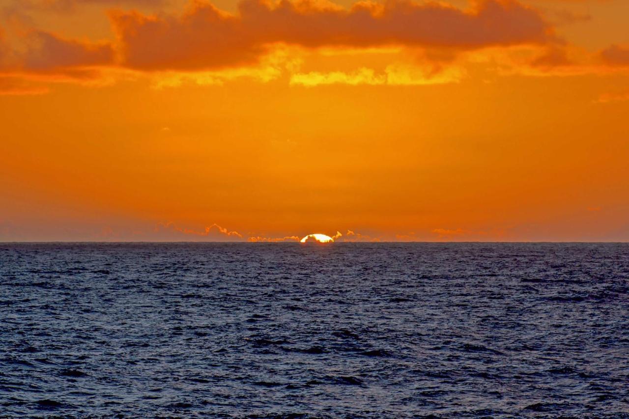 Direct Oceanfront, Big Island Home Keaau ภายนอก รูปภาพ